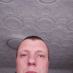 , 40, 