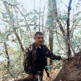 �������, 65 ���, ������