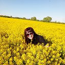 ���� ��������, ������ - ��������� 4 ������� 2025 � ������ ���������
