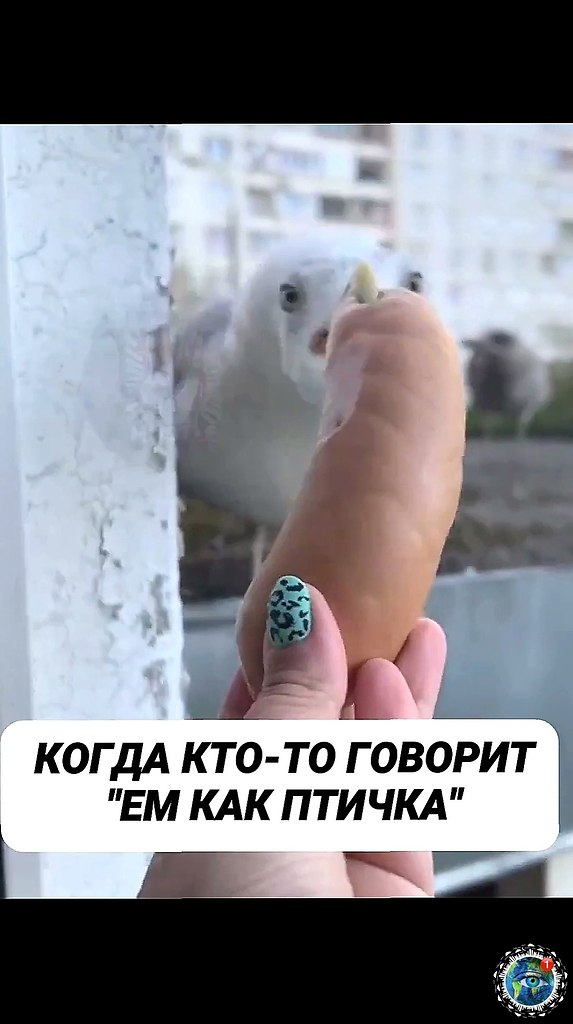 o e epoco oece op