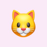 ���, 29 ���, ���������