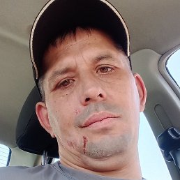 �������, ������, 38 ���