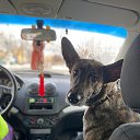 ���� ���������, ������, 43 ���� - ��������� 19 ������ 2024 � ������ ���� ����������