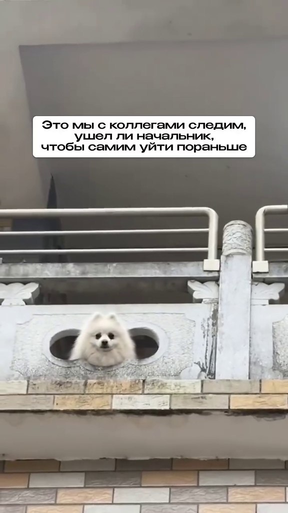 Особенно в пятницу!)