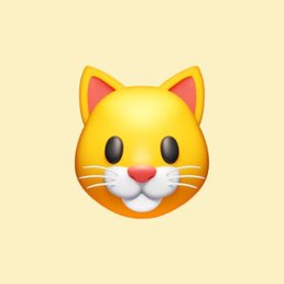 �����, ������-��-����, 43 ����