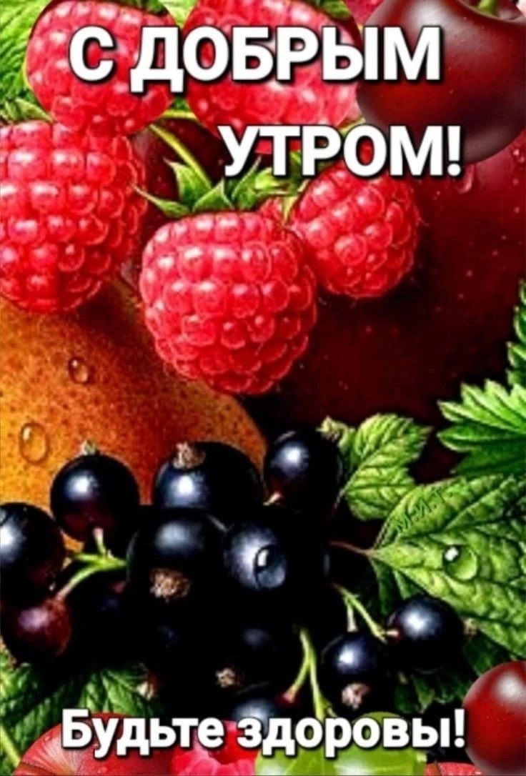 ���� - 30 ���� 2026 � 08:27