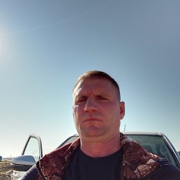 ���� ����������, 41 ���, ���������