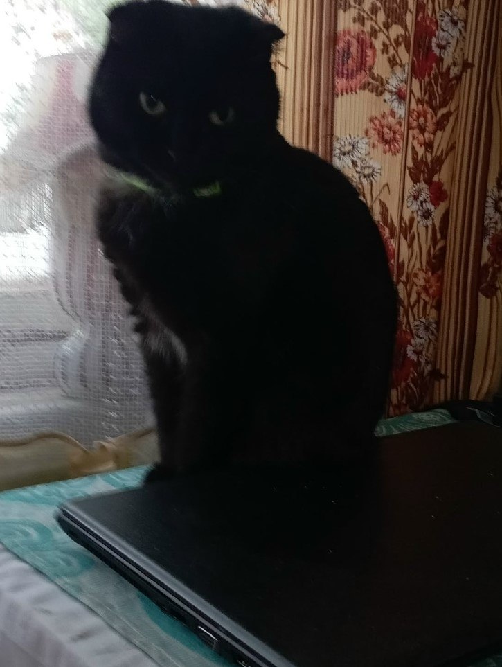 Galina - 13  2025  16:18