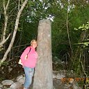 ���� �����, �����������, 43 ���� - ��������� 22 ����� 2024 � ������ ���� ����������