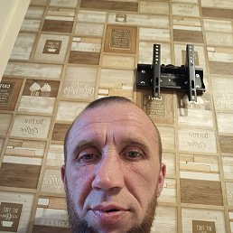 , 40, 