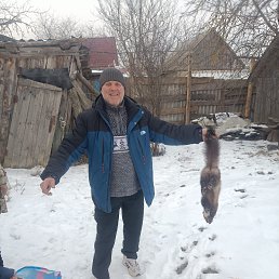 , 49 , 
