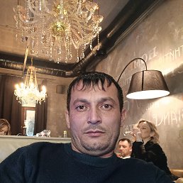 , 37, 