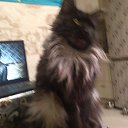 ���� ������, �����������, 57 ��� - ��������� 21 ������ 2025 � ������ ������ ��������