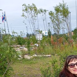 �������, ������, 49 ���