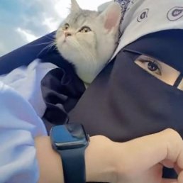 ���� ���, �����������, 28 ��� - ��������� 14 ������� 2023