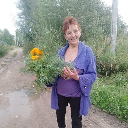 ���� ���������, ����, 70 ��� - ��������� 19 ������� 2026