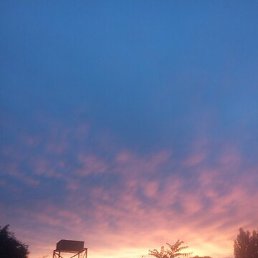 ����, ������, 41 ���