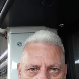 , 55, 