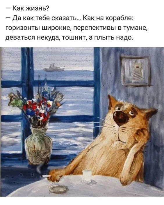  - 9  2023  08:55
