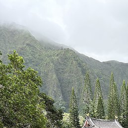 Arsen, ������, 41 ���
