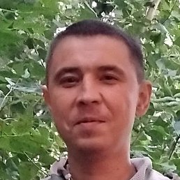 �����, ������, 37 ���