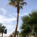 ���� ����, ������, 27 ��� - ��������� 31 ����� 2026