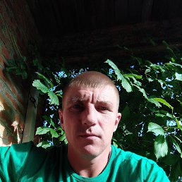 ������, 40 ���, ����