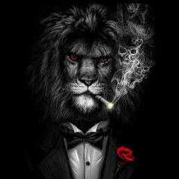 ���� ����, ���������, 29 ��� - ��������� 7 ����� 2026