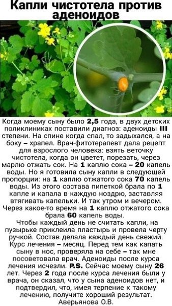 ВОСТОК | Wisdom & Beauty - 25 марта 2025 в 10:11