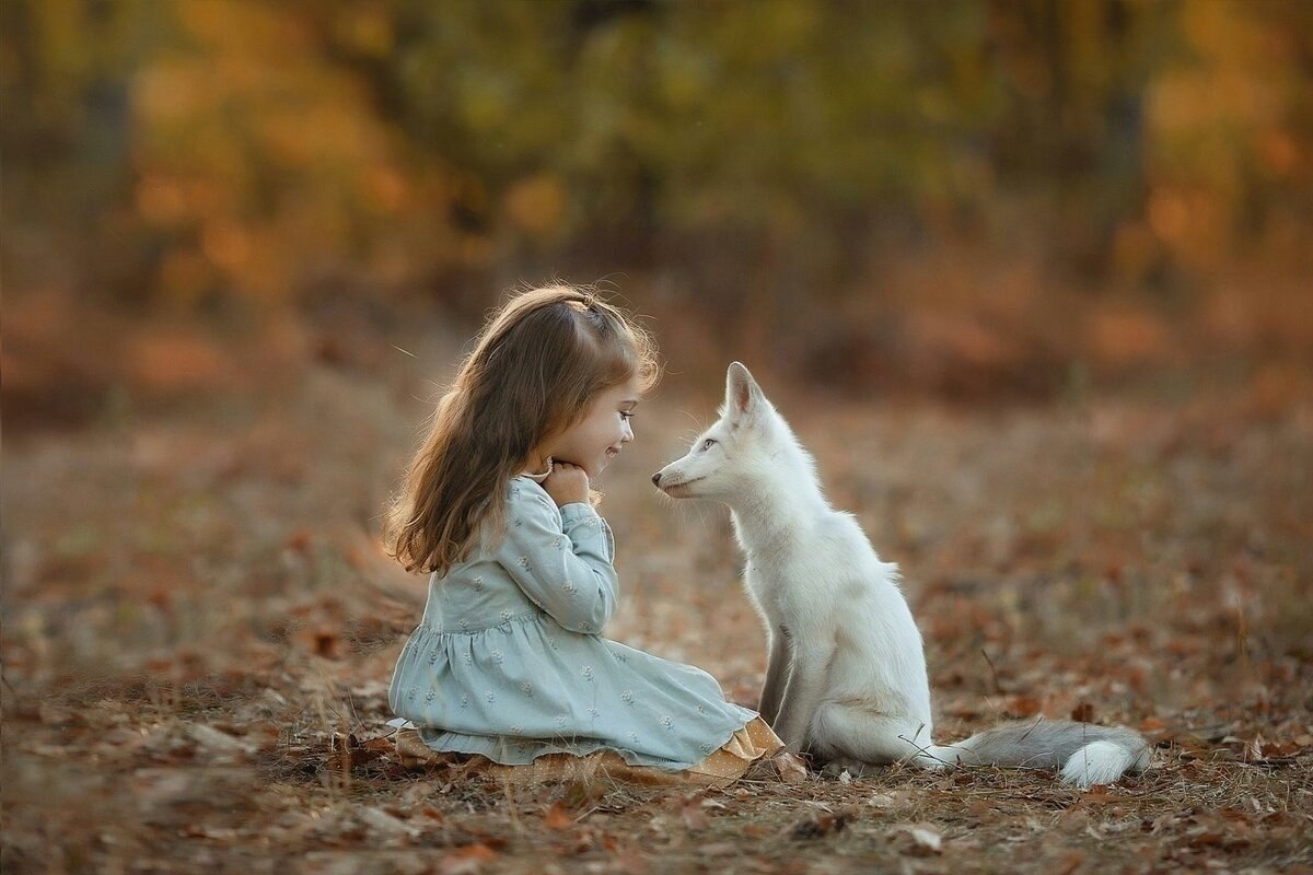 ���������� ����� ���� � ����� ����� ����. ������� - ��� ������ ����� ������ ����� �����, ������� ...