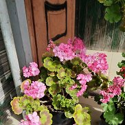 Richard, 58 ���, ������