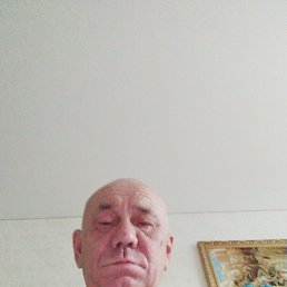 , 56 ,  