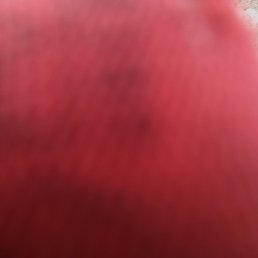 �����, ���������, 32 ����