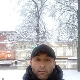 ����, 48 ���, �����-���������