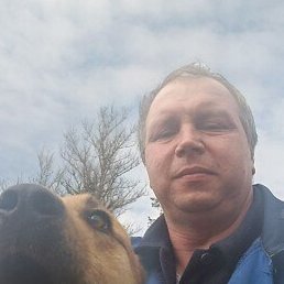 ���������, ����, 43 ����