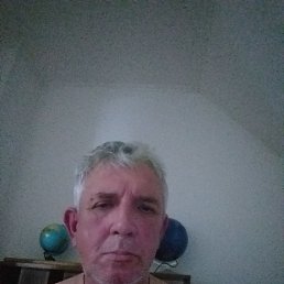 , 56, 