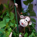 ���� �����, �����, 48 ��� - ��������� 24 ������ 2025 � ������ ����������