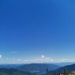 ���� �����, �����������, 44 ���� - ��������� 14 ����� 2025