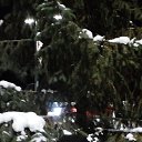 ���� ����, ��������, 67 ��� - ��������� 22 ������ 2026 � ������ ���� ����������