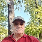 , 61 , 