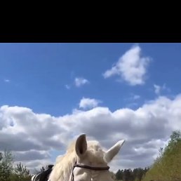 ���������, �����������, 25 ���