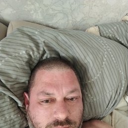 �������, 46 ���, ������
