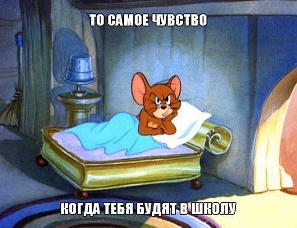 ☆   ☆ - 26  2025  22:24