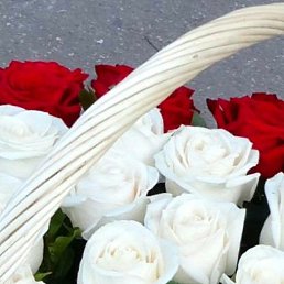 ����, ������, 41 ���