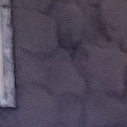 ������, ������, 51 ���