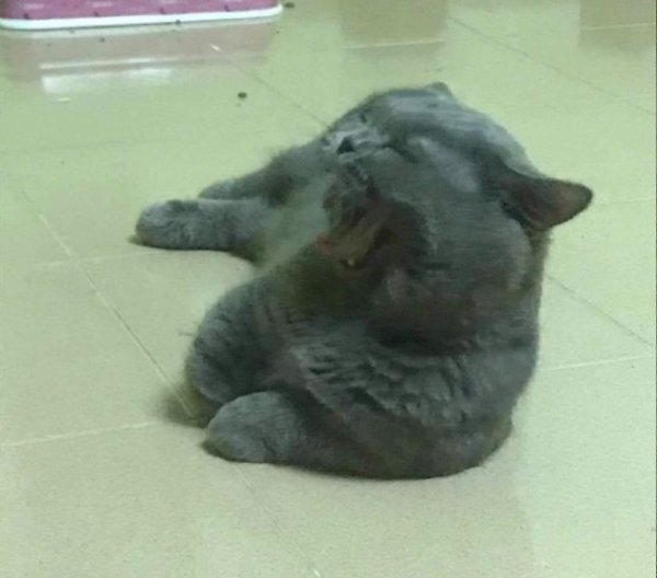   .   ,   ,   ,   ,  ,    ...