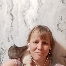 ���������, 41 ���, ��������