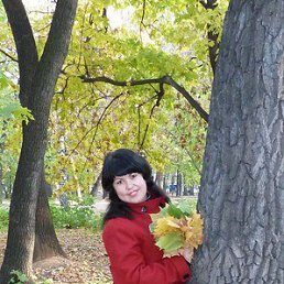 �����, 43 ����, ������