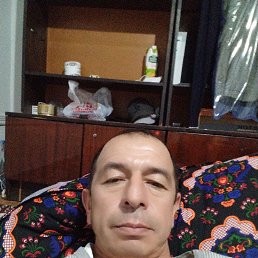 ���� ������, �������, 48 ��� - ��������� 24 ������ 2024