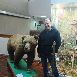 ���������, 45 ���, ���������